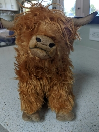 Wholesale Soft Plush Highland Cow Toy 