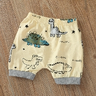 Infant Boy's Dinosaur Short Sleeve Hoodie Tops Shorts Outfit Set