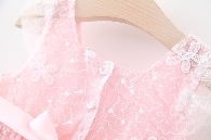 Baby girl lace princess dress